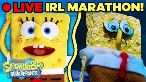 Image result for Animation Slides IRL Spongebob