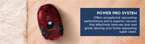 ELECTROLUX SilentPerformer Canister Vacuum Cleaner for Home, 2000 W ...