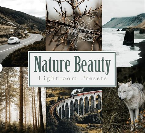 Best Lightroom Presets for Landscape Photography: Capturing Nature's ...