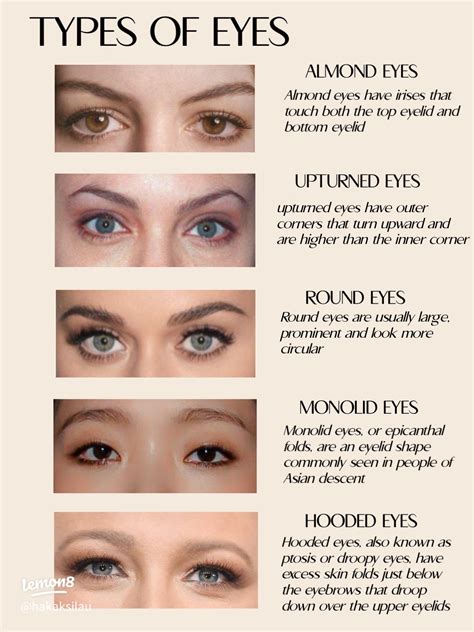 Types Of Woman Eyes Eye Shapes Illustrations 12 Woman Eyes, Eyebrows,