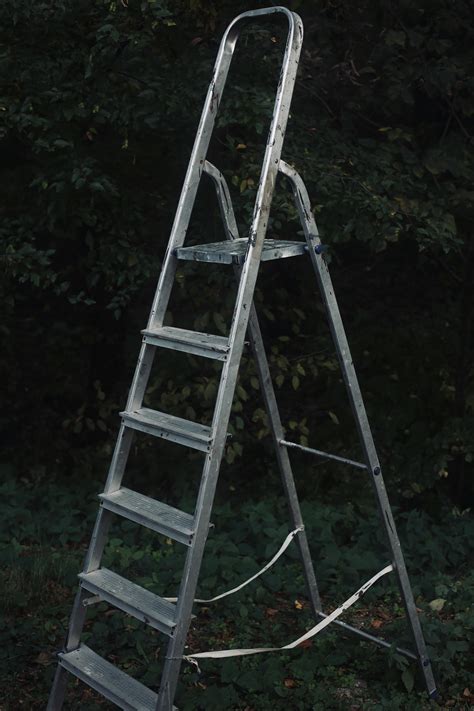 Image result for Ladder Lass