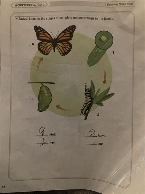 Image result for Chapter 7 Study Guide