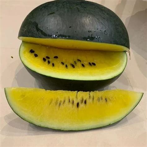Hybrid Watermelon Seeds - Yellow Lion F1 Hybrid Watermelon Seeds ...