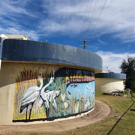 GOONDIWINDI WATER TANK ART (2025) All You Need to Know BEFORE You Go ...