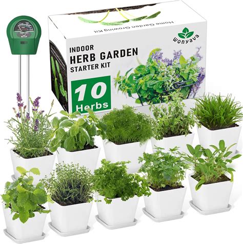 Amazon.com: Herb Garden Kit Indoor - 10 Variety Herbs with Complete Growing Kit - Kitchen Herb ...