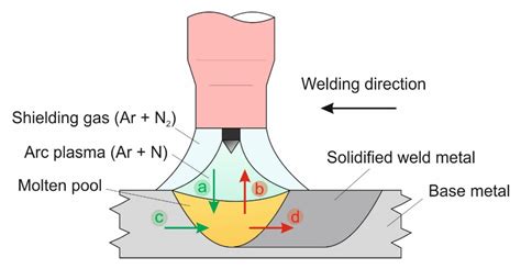 Physical and Theoretical Modeling of the Nitrogen Content of Duplex ...