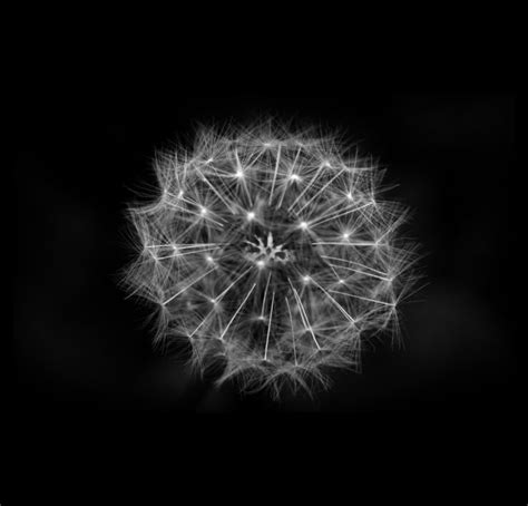 Measurement Mathematical Operational Definitions of Abstractions 的图像结果