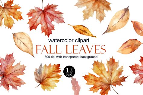 Watercolor Fall Leaves Clipart PNG Graphic by Elena Dorosh Art ...