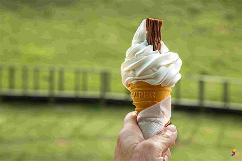 Define Scoop, Scoop Meaning, Scoop Examples, Scoop Synonyms, Scoop ...