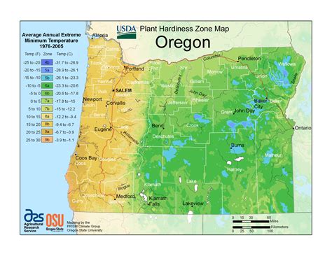 When to Plant in Oregon