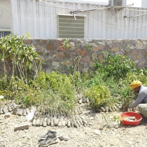 Forest by Design: Godrej Turns Industrial Space into Biodiversity Hub ...
