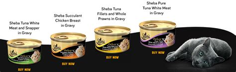 Sheba Deluxe Tuna White Meat and Snapper in Gravy, 85 g: Amazon.in: Pet ...