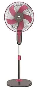 Buy Havells Pentaforce 400mm Pedestal Fan (Wine Grey) Online at Low ...