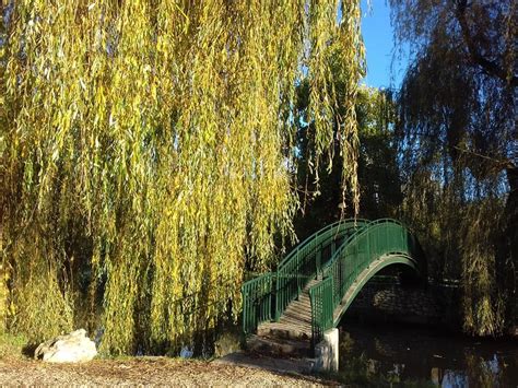 Commémoration du 79 è anniversaire de la victoire du 8 mai 1945, 19 rue ...