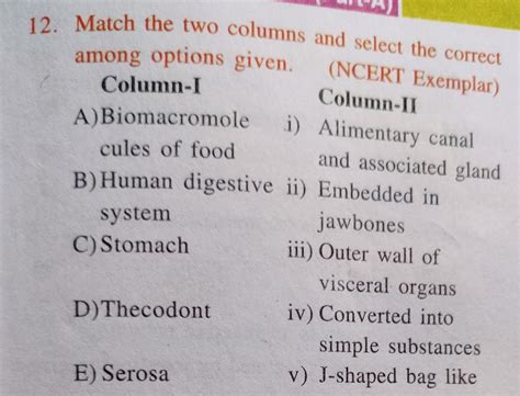 Answer this question - Brainly.in