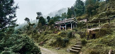 DEVHANG HOMESTAY (Darjeeling) - B&B Reviews & Photos - Tripadvisor