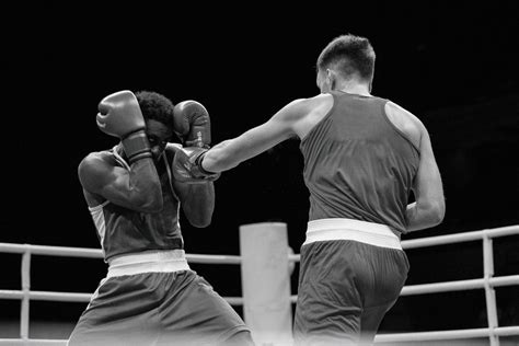 Image result for World Boxing