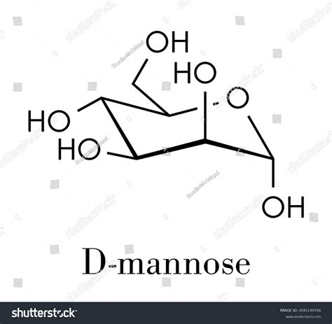 D Mannose Structure