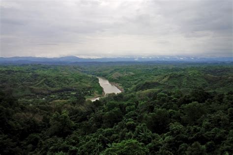 In Bangladesh, a community comes together to save a life-giving forest