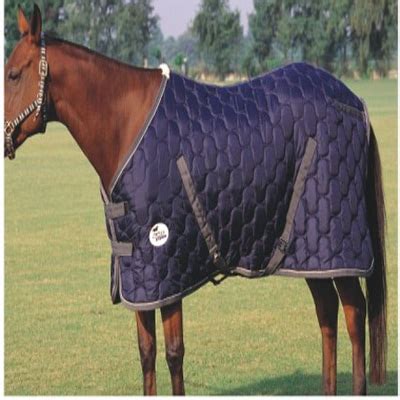 Indoor Rugs - MUSHKIN