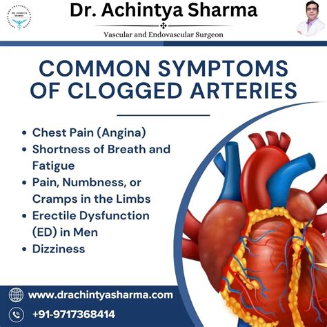 What Are Clogged Arteries and the Common Symptoms of Clogged Arteries?