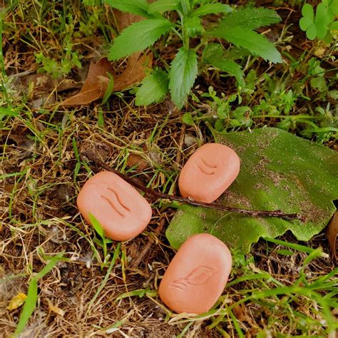 COMING INTO FORM ~ Landscaping Biomes with Haikus + Runes, Deep Space ...