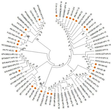 Distribution of Human Papillomavirus Genotypes among the Women of South ...