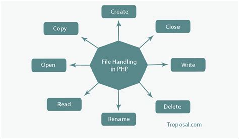 Image result for File Handling in Web Development
