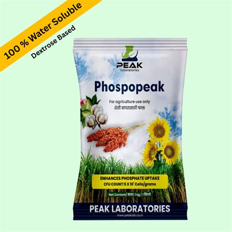Buy Phosphate solubilizing Bacteria PSB powder online – Bactostore