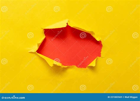 Digging Meaning Digging Into The DNA Of New Zealand's Working Dogs