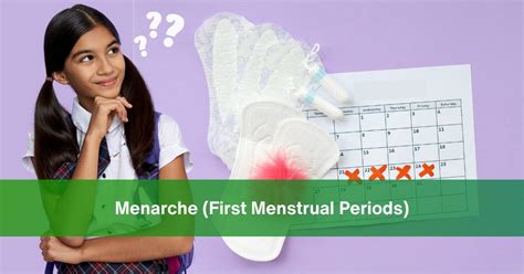 after menarch how many days will the next period come