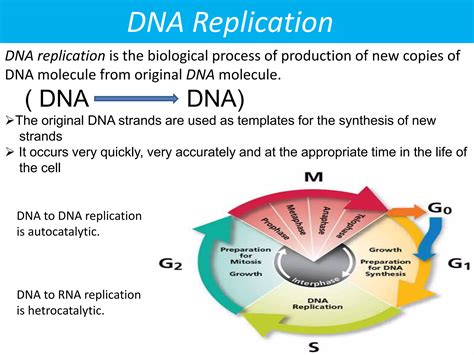 DNA replication | PPT | Free Download