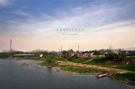 滁河流域上的“水上森林” 可泛舟观生态风光_安徽频道_凤凰网