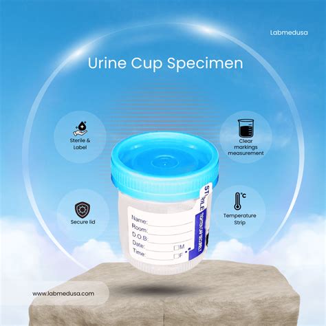 Why the 90mL Sterile Urine Cup with Temperature Strip Is the Trusted ...