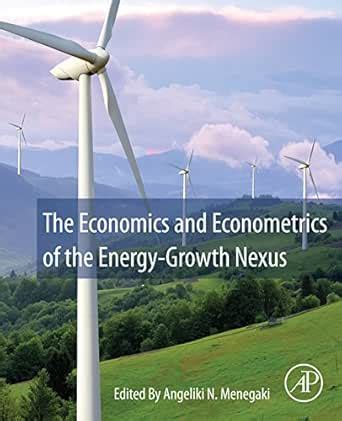 The Economics and Econometrics of the Energy-Growth Nexus eBook ...