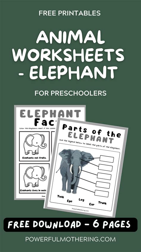 Animal Worksheets - Elephant | Animal worksheets, Zoo activities preschool, Kids learning activities
