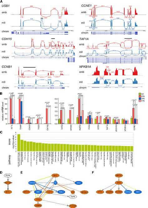 Figure 1 from Human embryonic genome activation initiates at the one-cell stage | Semantic Scholar
