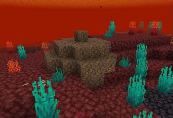 Image result for Where Do U Find Nether Upgrades Minecraft Java