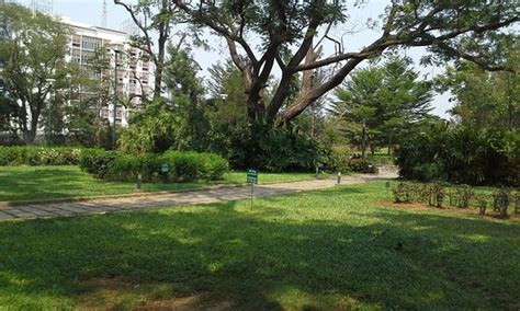 Semmozhi Poonga (Chennai) - 2020 What to Know Before You Go (with ...