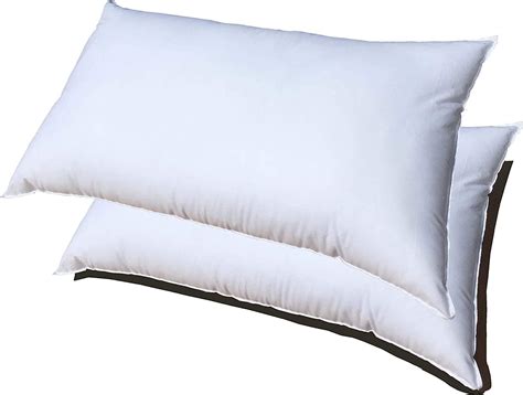 Pillowflex Set of 2 (12x16) Premium Polyester Pillow Inserts - European ...