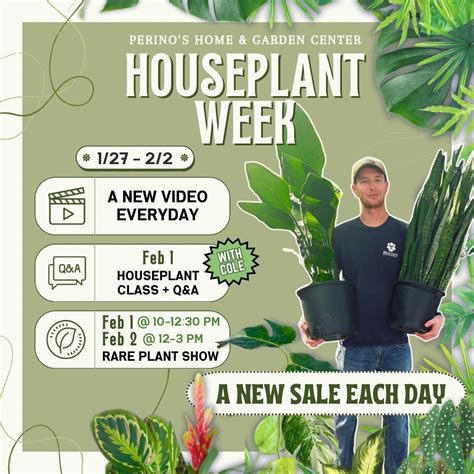 Rare Plant Show and Sale Day 2, 3100 Veterans Memorial Blvd, Metairie ...