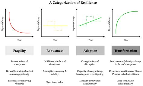 A Categorization of Resilience: A Scoping Review
