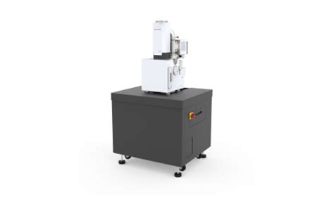 Scanning Electron Microscopy (SEM) - Analysis