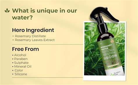 Buy Avimee Herbal Rosemary Water For Hair Growth (200 ml) | Mist Spray ...