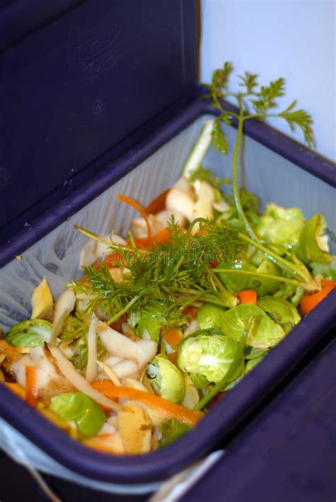 Image result for Kitchen Waste Compost