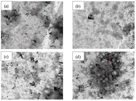 Development and Optimisation of Inhalable EGCG Nano-Liposomes as a ...