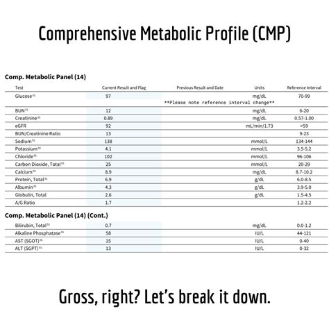 Cmp Blood Test With Differential at Jean Begaye blog