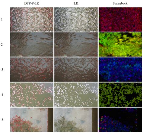 River Surface Velocity Measurement for Rapid Levee Breach Emergency ...