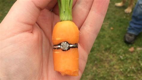 Man proposes to girlfriend by growing carrot inside engagement ring in ...