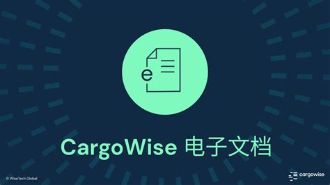 CargoWise 电子文档 - WiseTech Global